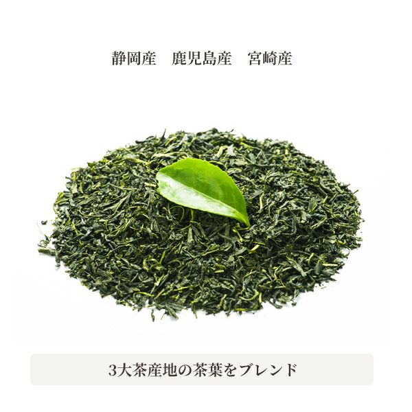 新茶の新芽